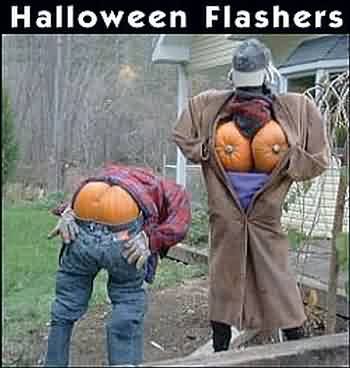 Name:  pumpkinflashers.jpg
Views: 30
Size:  18.5 KB