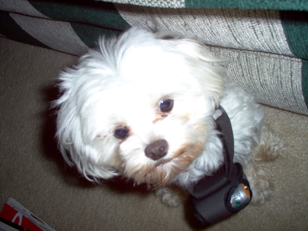 Name:  3ece9b01.jpg
Views: 40
Size:  104.9 KB