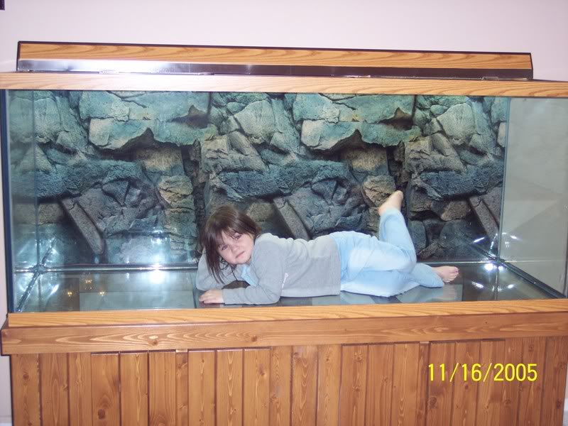 Name:  HAYLEYINTHEFISHTANK-4.jpg
Views: 27
Size:  90.6 KB