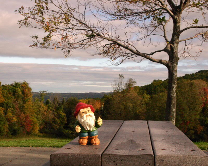 Name:  IMG_12712.jpg
Views: 50
Size:  99.0 KB