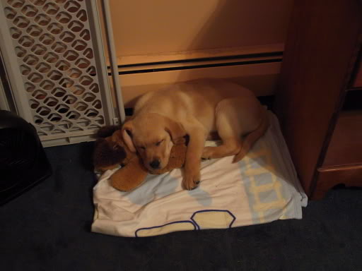 Name:  IMG_1363.jpg
Views: 30
Size:  26.2 KB