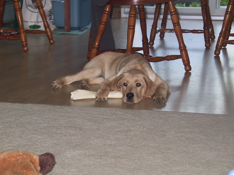 Name:  IMG_1501.jpg
Views: 35
Size:  80.9 KB