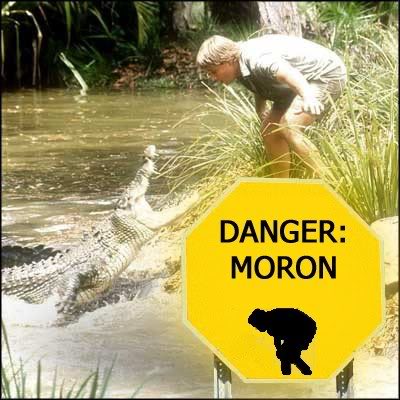 Name:  steve_irwin_moron.jpg
Views: 39
Size:  37.4 KB
