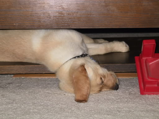 Name:  IMG_1313.jpg
Views: 34
Size:  40.5 KB