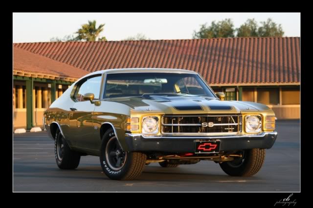 Name:  BurtChevelle-1.jpg
Views: 23
Size:  46.2 KB