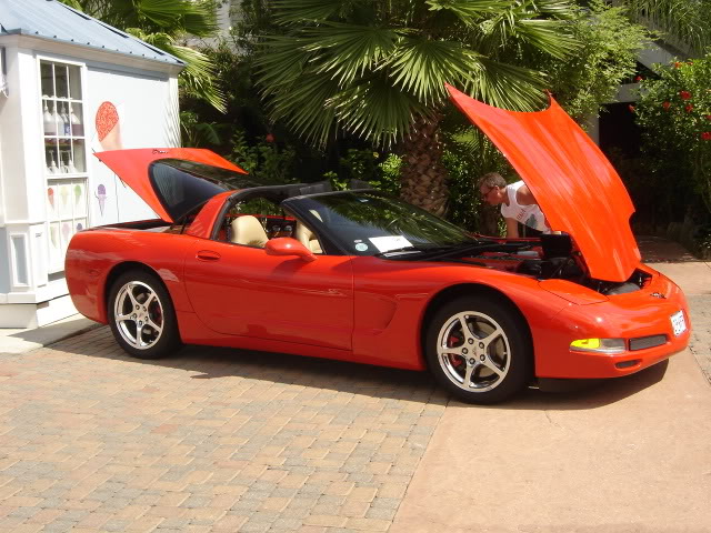 Name:  DSC01324.jpg
Views: 66
Size:  88.8 KB