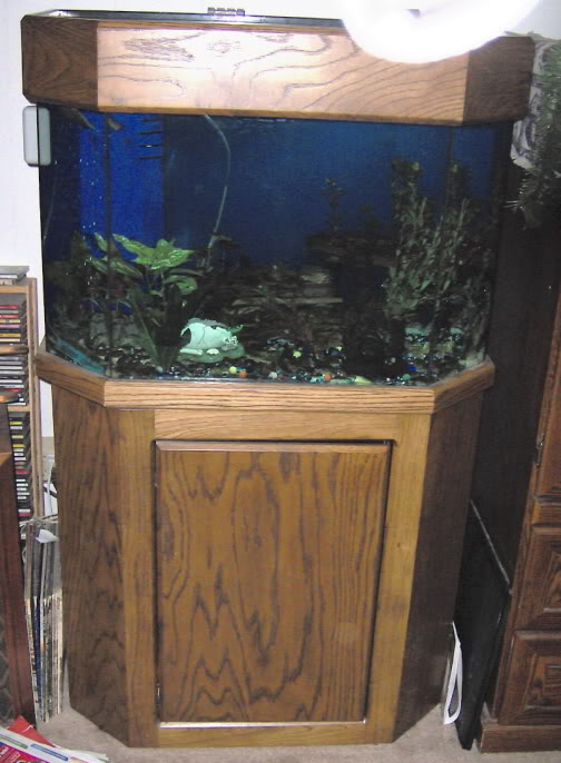 Name:  dafihtank.jpg
Views: 41
Size:  61.4 KB