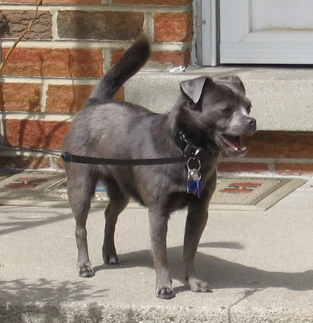 Name:  ShyAnn009.jpg
Views: 37
Size:  41.9 KB