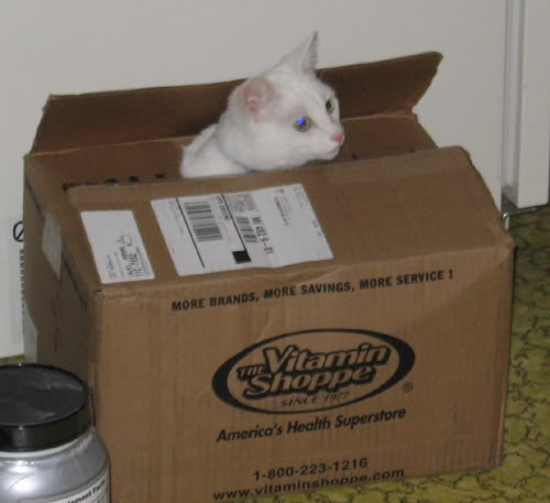 Name:  Purple003.jpg
Views: 36
Size:  27.4 KB