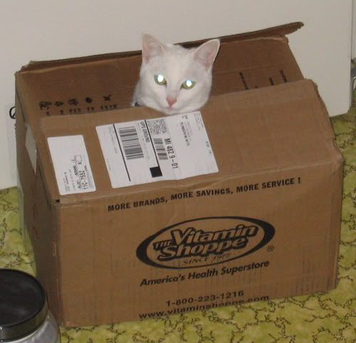 Name:  Purple001.jpg
Views: 39
Size:  36.0 KB