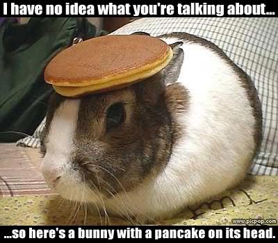 Name:  bunnypancake.jpg
Views: 19
Size:  34.7 KB