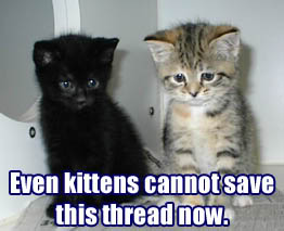 Name:  kittenssave.jpg
Views: 12
Size:  15.4 KB