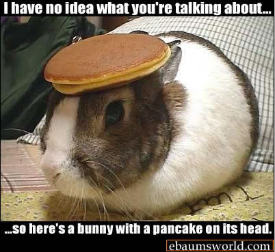 Name:  pancakebunny.jpg
Views: 23
Size:  38.0 KB