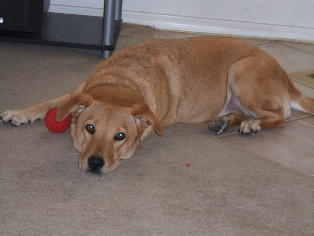 Name:  DSCF0020.jpg
Views: 34
Size:  40.0 KB