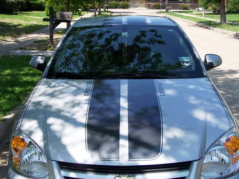 Name:  100_0676.jpg
Views: 168
Size:  112.9 KB