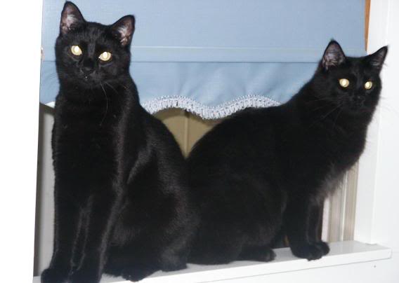 Name:  kh.jpg
Views: 38
Size:  18.2 KB