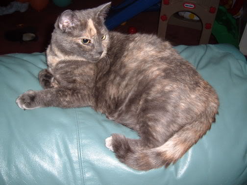 Name:  Picture298.jpg
Views: 28
Size:  29.3 KB