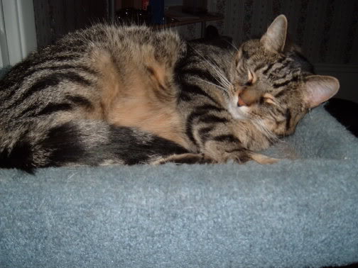 Name:  Picture299.jpg
Views: 32
Size:  38.2 KB