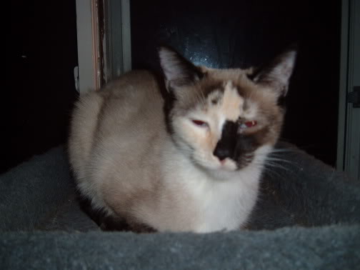 Name:  Picture301.jpg
Views: 31
Size:  18.6 KB