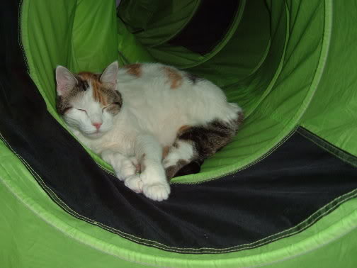 Name:  Picture300.jpg
Views: 76
Size:  25.5 KB