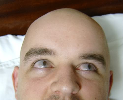 Name:  S5300025.jpg
Views: 128
Size:  21.8 KB