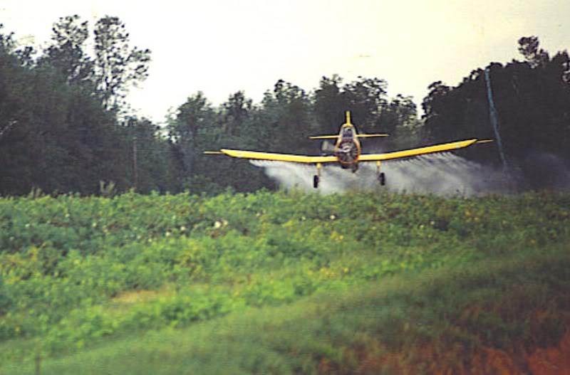 Name:  defcottonsumterfar.jpg
Views: 128
Size:  53.1 KB