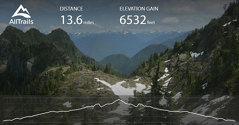 Count by Picture-6532.jpg