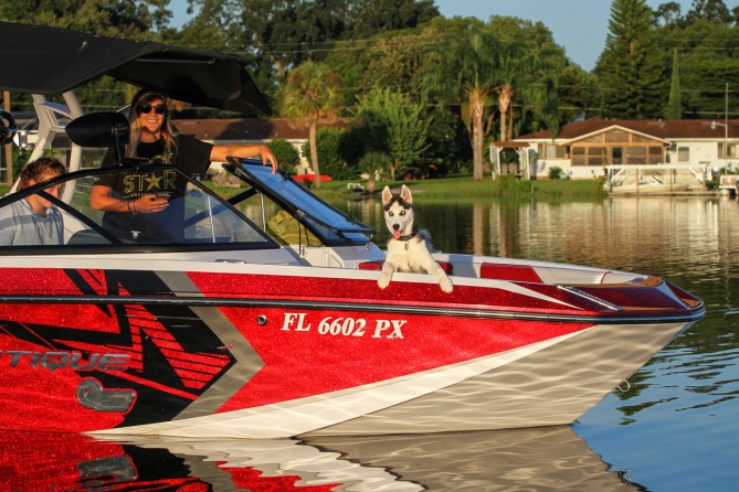 Name:  6602.jpg
Views: 111
Size:  106.9 KB