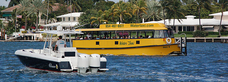 Count by Picture-6677wt.jpg