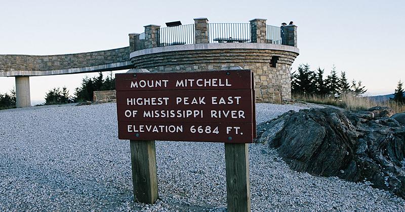 Count by Picture-6684.jpg