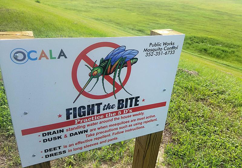 Count by Picture-6733.jpg