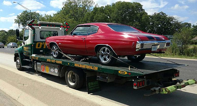 Count by Picture-6890.jpg