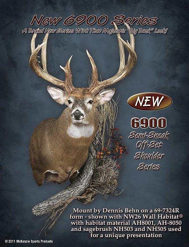 Count by Picture-6900.jpg