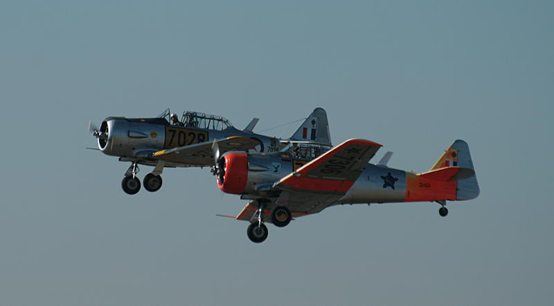 Count by Picture-7028.jpg