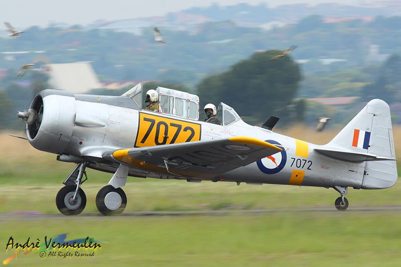 Name:  7072.jpg
Views: 98
Size:  60.1 KB