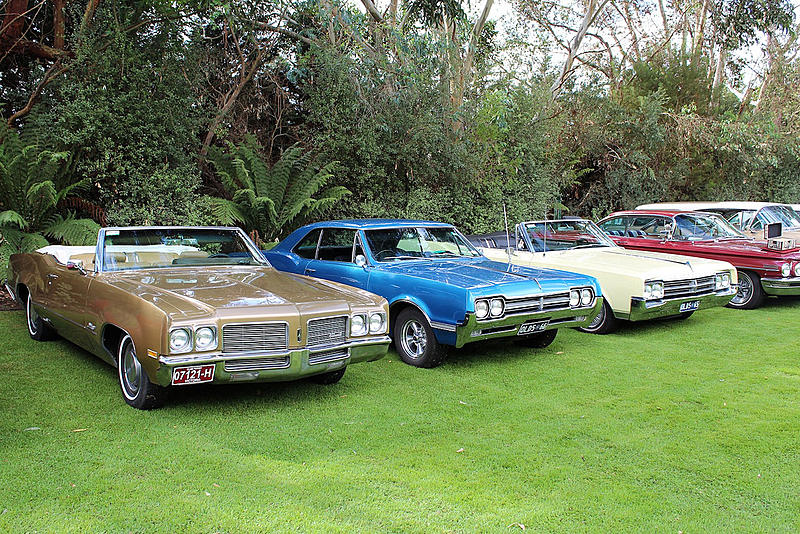 Count by Picture-7121.jpg