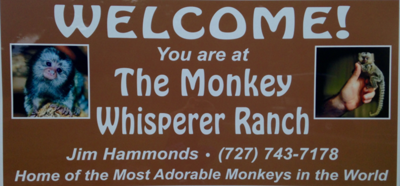 Count by Picture-7178.png