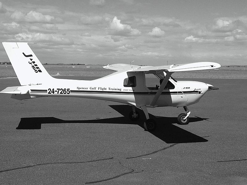 Count by Picture-7265.jpg