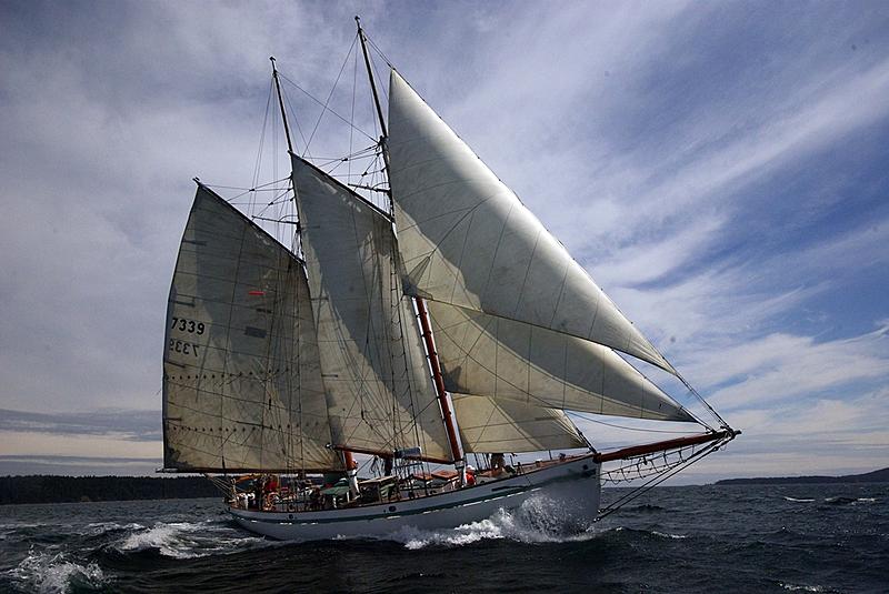 Count by Picture-7339.jpg