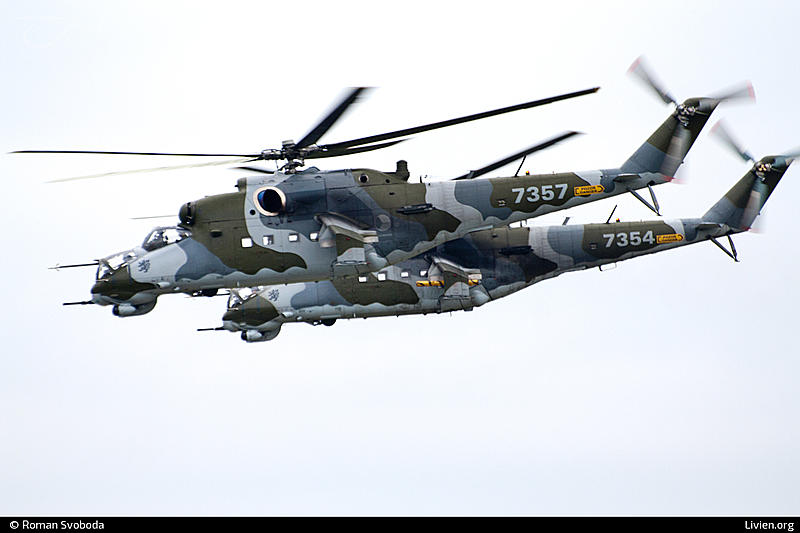 Count by Picture-7357.jpg