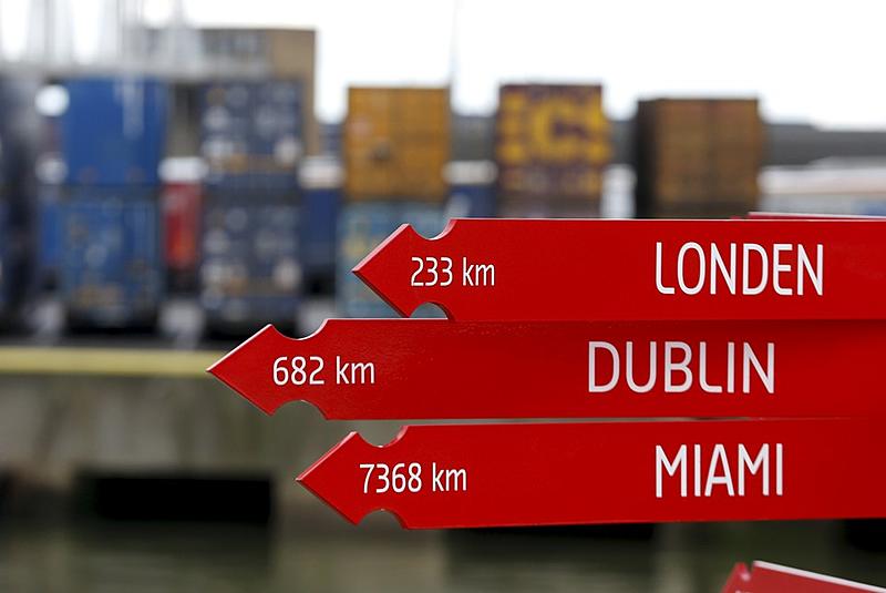 Count by Picture-7368.jpg