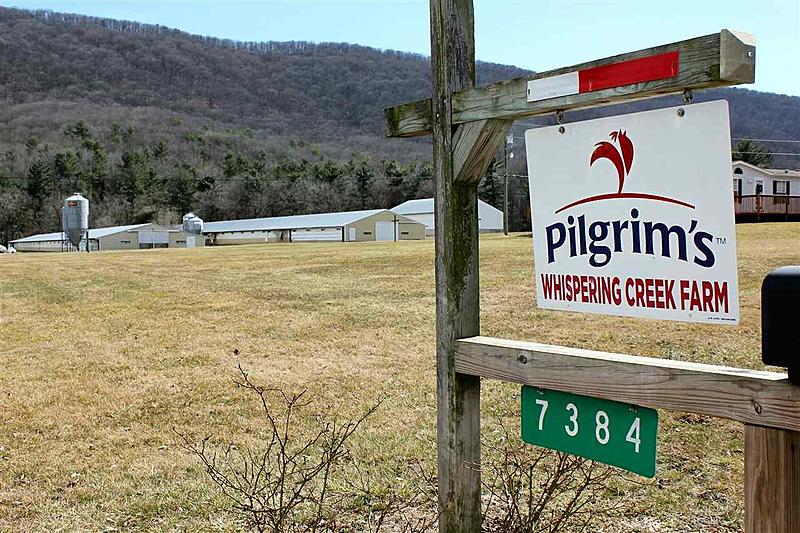 Count by Picture-7384.jpg