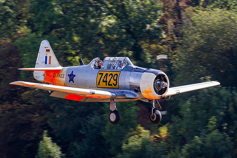 Count by Picture-7429.jpg