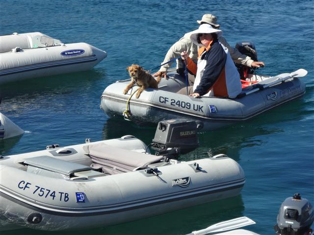 Name:  7574.JPG
Views: 93
Size:  54.2 KB