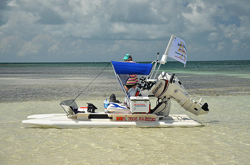 Count by Picture-7608.jpg