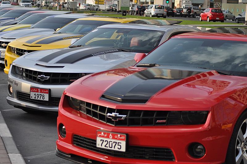 Count by Picture-7623.1.jpg