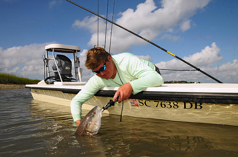 Count by Picture-7638.jpg