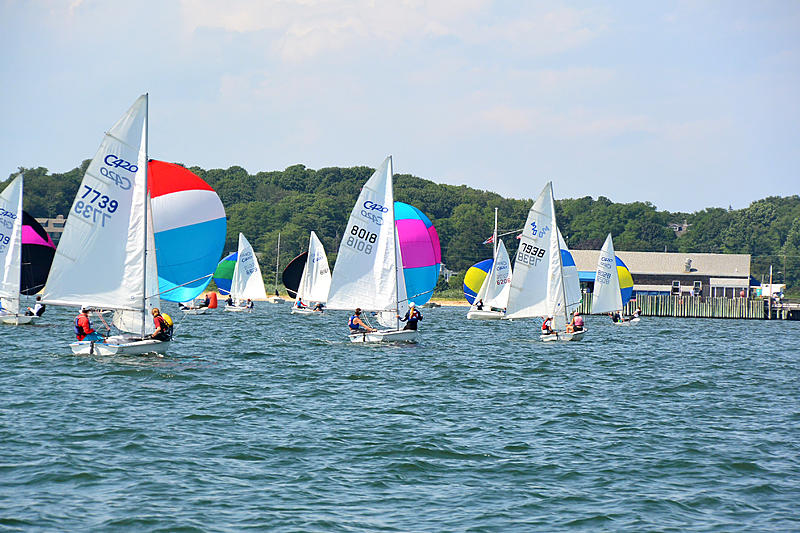 Count by Picture-7739.jpg