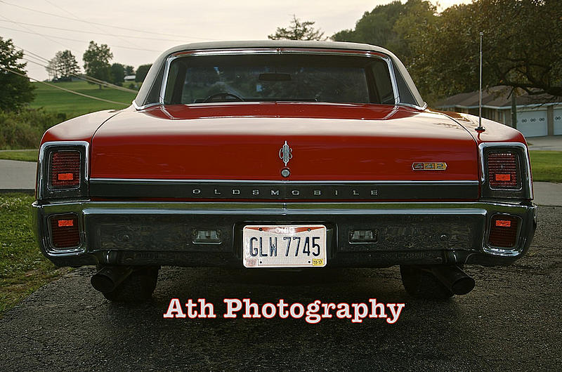 Count by Picture-7745.jpg