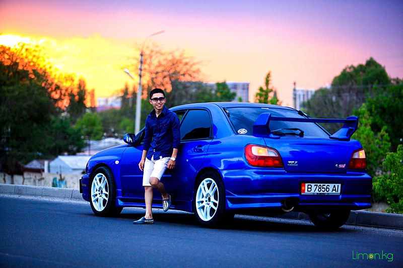 Count by Picture-7856.jpg